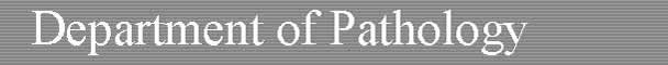 Department Name